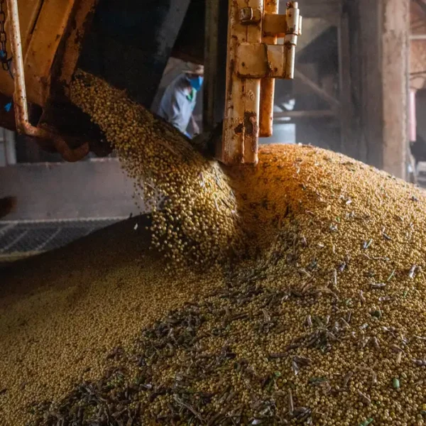 Economia brasileira cresce 1,1% no 1º trimestre