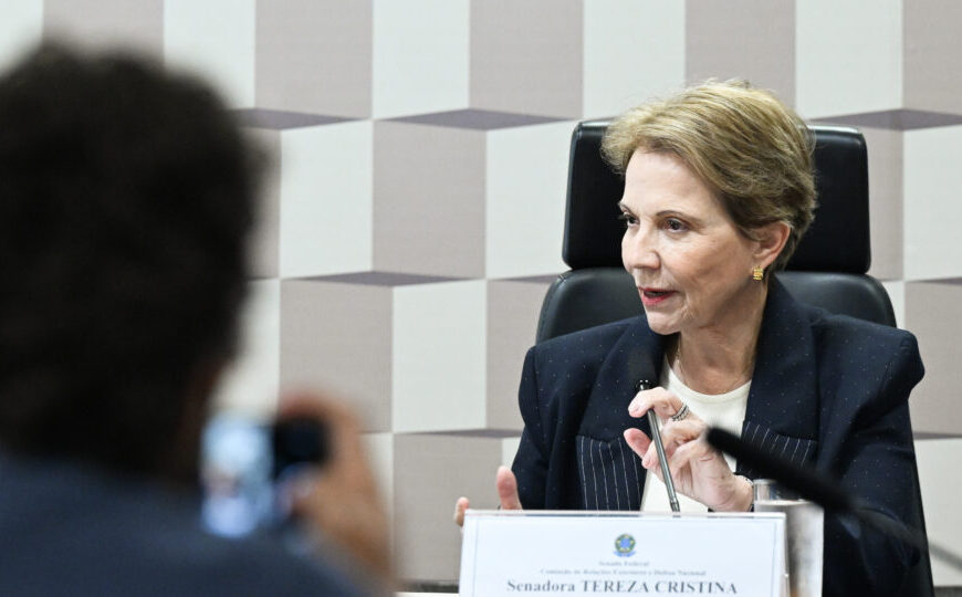 Tereza Cristina confirma conversa com Flávio Bolsonaro sobre vaga de vice
