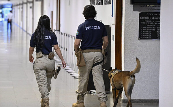 Morre veterinária atacada por cão do Senado