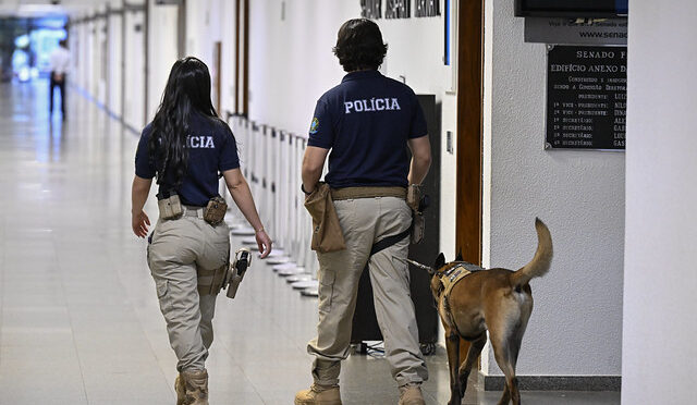 Morre veterinária atacada por cão do Senado