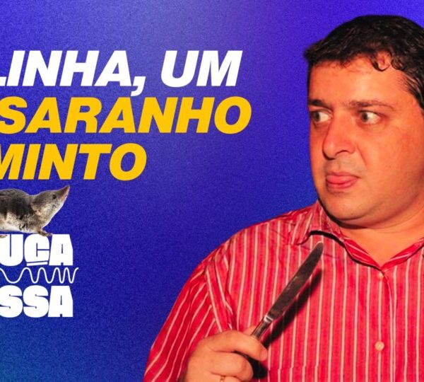 Bicho minúsculo e insaciável: o apelido que Lulinha&hellip;